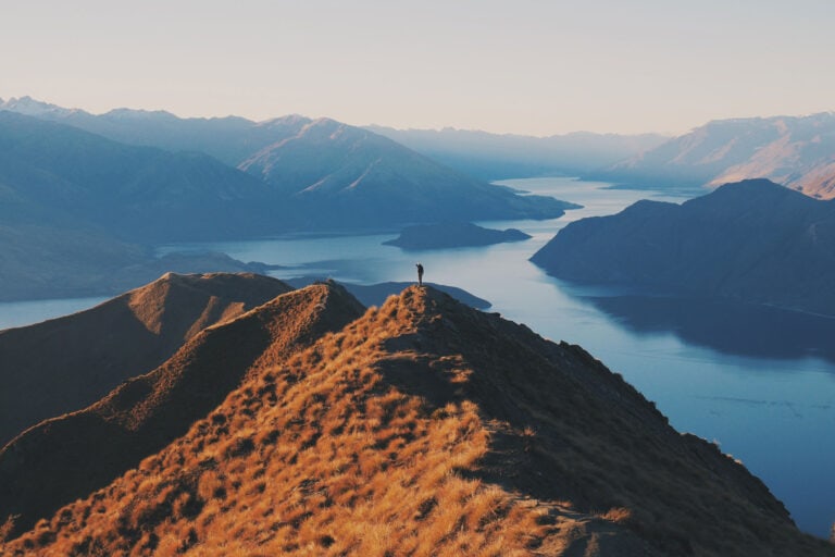Photo of a new zealand